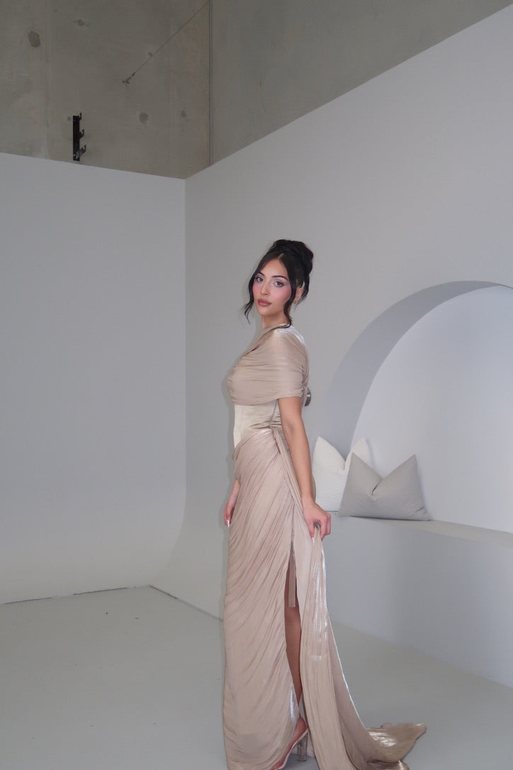 Sahara Organza Gown